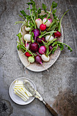 Plate of multicolored radishes with butter