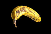 Reife Banane vor schwarzem Hintergrund