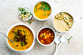 Composition of vegetable soups