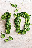 Spinach, number 10 ,