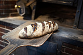 Frisch gebackenes Brot mit Trockenfrüchten auf Holzschieber vor Holzofen