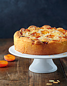 Soft almond and apricot cake