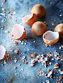 Eierschalen als Schutz vor Schnecken