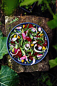 Salat mit Rote Bete, Radieschen, Rucola und Orange
