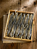 Wooden tray of herrings