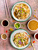 Cold noodles with sesame sauce