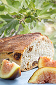 Light crusty bread with figs