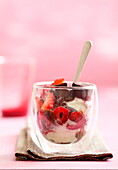 Sundae with vanilla ice cream, chocolate ice cream and fresh raspberries