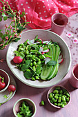 Green spring salad with beans, cucumber, and radish