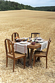 Herbstlich gedeckter Tisch mit Brot, Käse und Wein auf abgeerntetem Getreidefeld