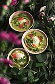 Cream of pea soup with poached egg and salmon eggs