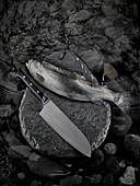 Roher Fisch und japanisches Messer auf Steinplatte (Schwarz-Weiß-Aufnahme)