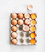 Ganze Eier, aufgeschlagene Eier und Eierschalen in Eierpalette
