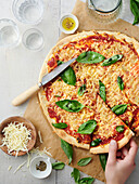 Pizza with tomatoes, cheese and basil