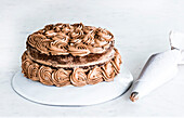 Prepare chocolate sponge cake with chocolate cream rosettes