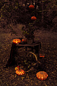 Decoration for Halloween with jack-o'-lanterns in the garden