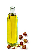 Haselnussöl in Flasche vor weißem Hintergrund