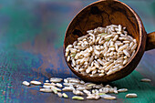Rice grains on a wooden spoon