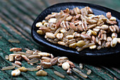 Mischung aus Dinkel, Gerste, Weizen, Hafer und Reis auf Löffel (Nahaufnahme)