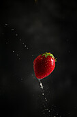 Erdbeere mit Wassertropfen vor dunklem Hintergrund