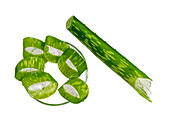 Slices of aloe vera in a small dish
