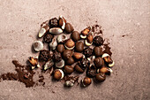 Chocolate pralines in the shape of shells