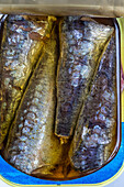 Close-up of canned sardines in open oil