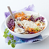 Quick coleslaw with two kinds of cabbage