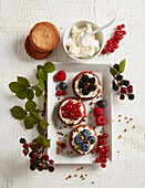 Quick shortcake tartlets with mascarpone and summer berries