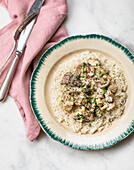 Filet Mignon mit Champignon-Rahmsauce auf Reis