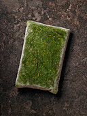 Gefrorene Algen auf dunklem Hintergrund