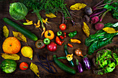 Old-fashioned carrots,beetroots,tomatoes,pumpkins,courgettes,Autumn leaves,cucumber,beets,cabbage,salad and squash on a wooden background