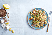 Kashe verniskes, a traditional dish of the Ashkenazi American Jewish community consisting of kasha with lokshen egg noodles in the shape of a butterfly nude