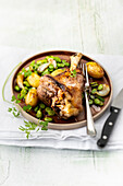 Lamb mouse with broad beans, beans and garlic confit