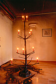 Abgebrannter Weihnachtsbaum, im Wohnzimmer