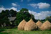 Heu, Burg Kauper, Spreewald, Brandenburg, Deutschland