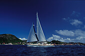 Sailing boat off shore under blue sky, Guadeloupe, Caribbean, America