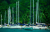 Sailing Boats, St. Lucia