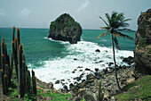 Rock in the sea, St. Lucia, Caribbean