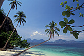 Palmenstrand im Sonnenlicht, Palawan, Philippinen, Asien