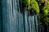 Wasserfall Moos