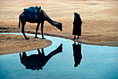 Man with camel on the waterfront, Tunisia, Africa