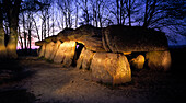 Dolmen between trees in the evening light, Ille et Villaine, Brittany, France