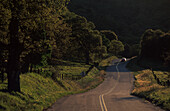 Strasse, Sequoia National Forest Kalifornien, USA