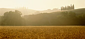 Cypresses, farmhouse, field, Landscsape with hills, sunrise in the Val´d Orcia, Tuscany, Italien