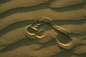 Footprint in sand, beach, Mecklenburg Western Pomerania, Germany