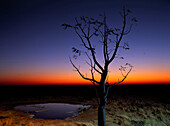 Sunset over an African plain, Evening atmosphere, Wilderness, Namibia, Africa