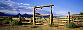 Wooden gate with animal's skull, Moab, Utah, USA
