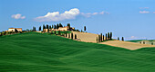 Landscape with cypresses and farmhouse, Crete, south of Siena, Tuskany, Italy