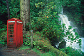 Telefonzelle im Wald, Carsaig, Mull, Schottland, Großbritannien